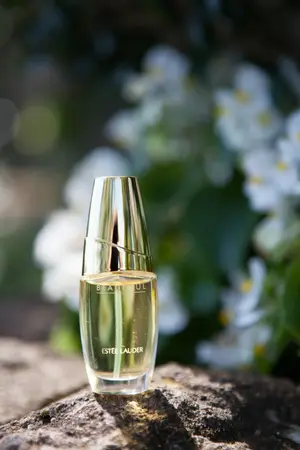 Wedding photo 5 of 176 - Photography by Stephen Railton