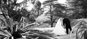 Wedding photo 98 of 176 - Photography by Stephen Railton