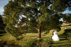 Wedding photo 104 of 176 - Photography by Stephen Railton